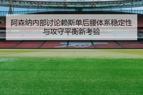 a-sen-na-nei-bu-tao-lun-lai-si-dan-hou-yao-ti-xi-wen-ding-xing-yu-gong-shou-ping-heng-xin-kao-yan-3-888.jpg