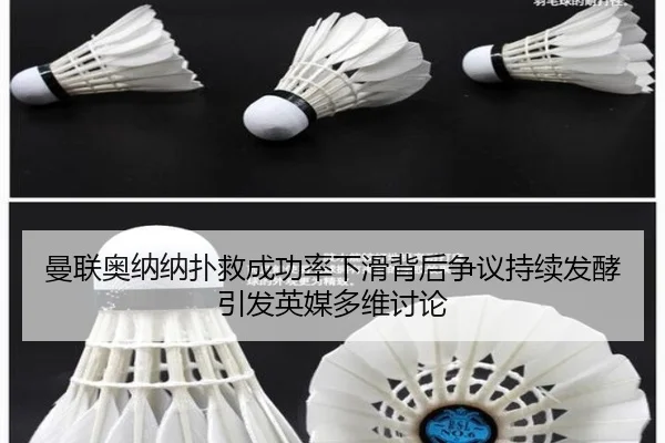img_1781283311028_71_1_966.jpg